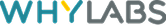 WhyLabs